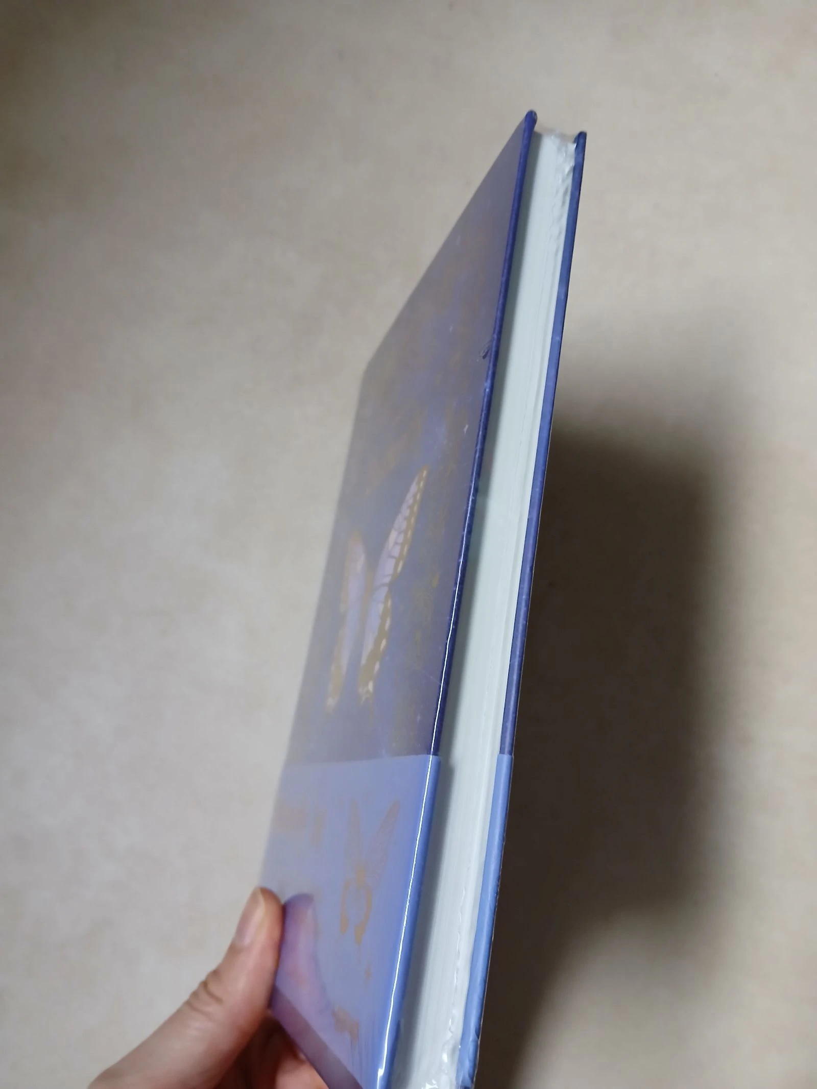Carnet vlinder – photo 4